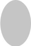 Placeholder for photo of Sam Lapidus